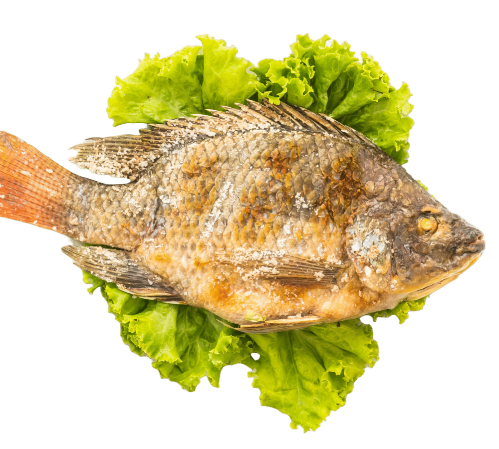 Adobe Express - file