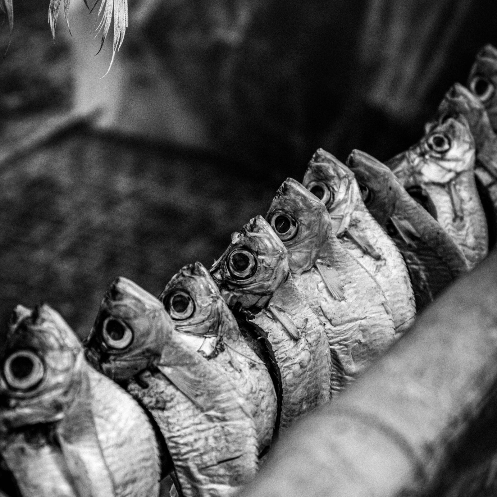 pexels-rafid-6541808